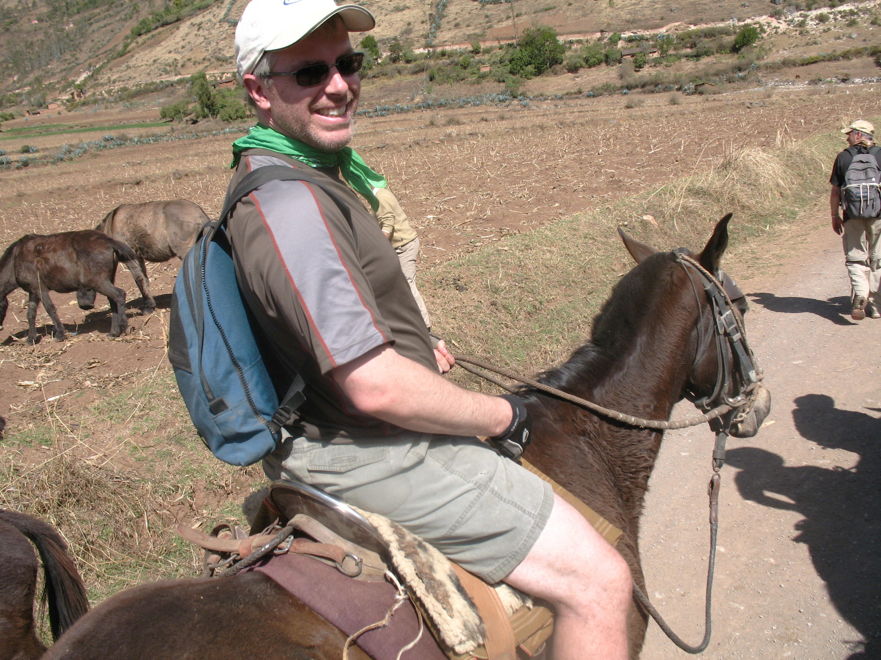 1365 C horse Cachora