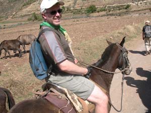 1365 C horse Cachora