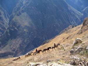 4938 horsemen approaching